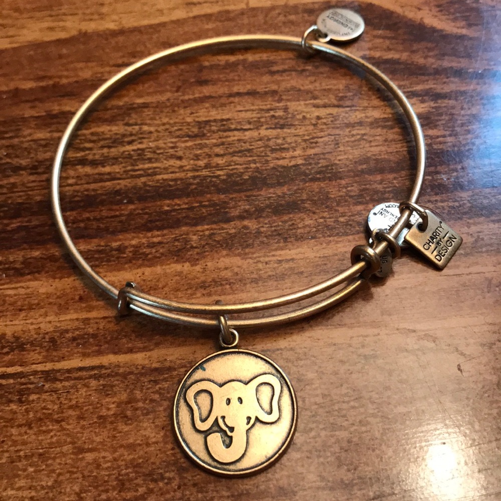 Alex and Ani Bracelet